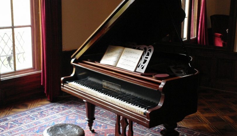 De pianostemmer op bezoek